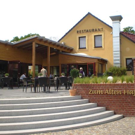 Zum Alten Hafen Rathenow Exteriör bild